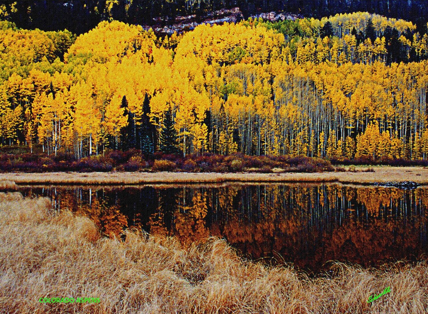 A painting of trees in the background and water