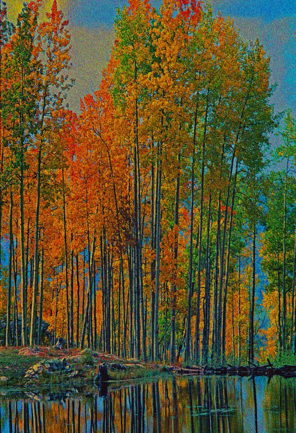 A painting of trees in the fall